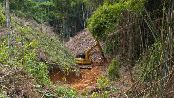 林间“藏龙”，竹海“卧虎”——beats365官方唯一网站林业挖机广西侠客行